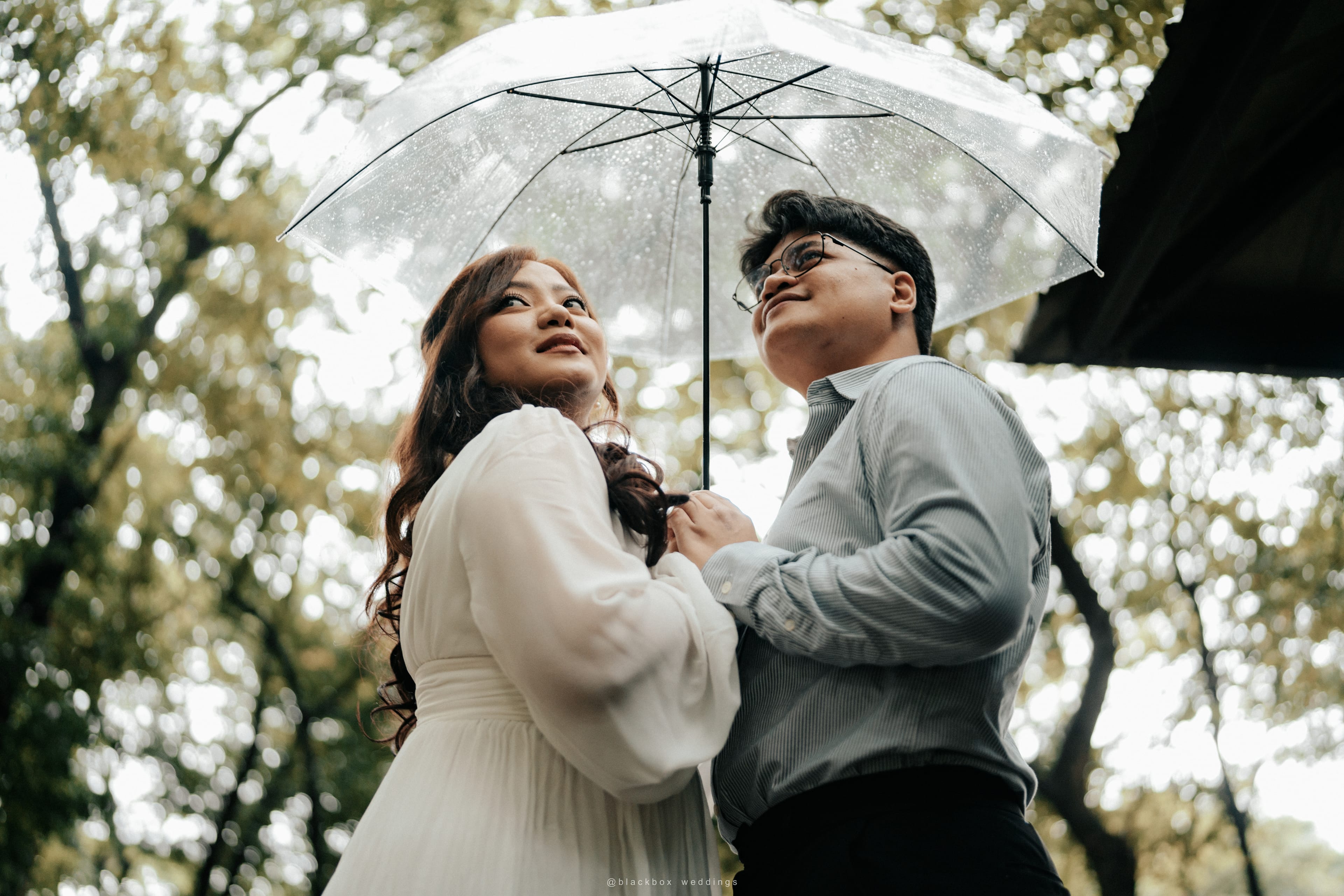 Umbrella gaze